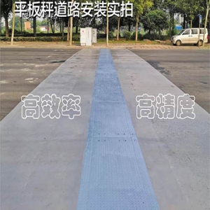 动态称重系统：精准数据即刻捕捉