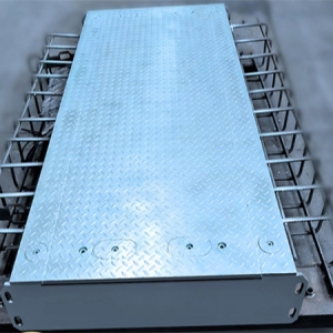 平板式动态汽车衡