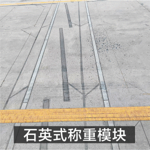 治超非现场执法系统中的石英传感器如何实现动态称重？